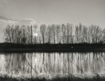 Flor Garduño - Paths of Life