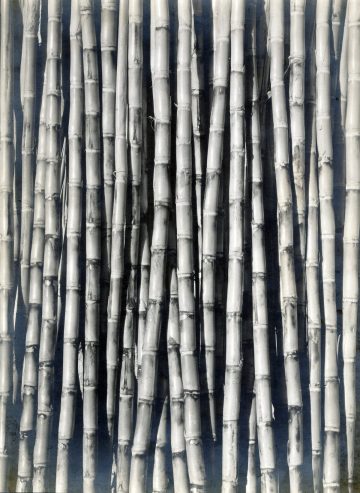 Throckmorton Fine Art Gallery NYC - Points of Convergence