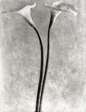 Throckmorton Fine Art Gallery NYC - Points of Convergence