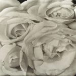 Points of Convergence
Until September 27th, 2025Media Available For Download
THROCKMORTON FINE ART