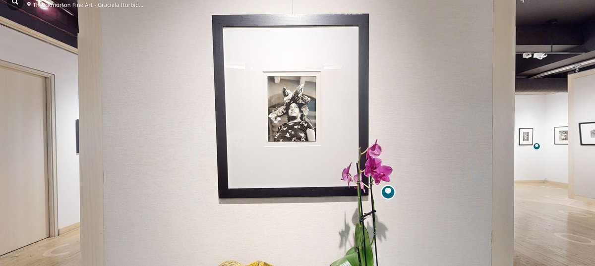 Graciela Iturbide Asturias Exhibit Virtual Tour