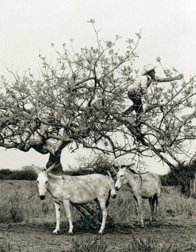 Flor Garduño - Paths of Life