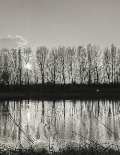 Flor Garduño - Paths of Life