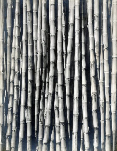 Throckmorton Fine Art Gallery NYC - Points of Convergence