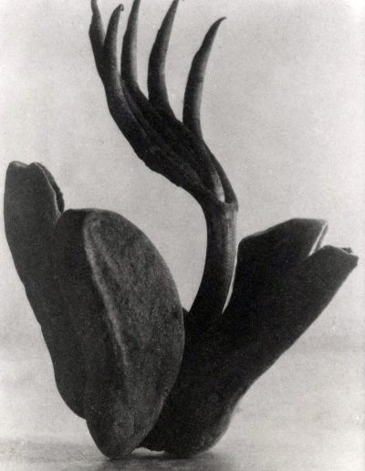 Throckmorton Fine Art Gallery NYC - Points of Convergence
