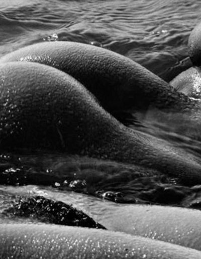 Lucien Clergue, Nude no.3, 1980 — gelatin silver print, 16.5 x 23 in