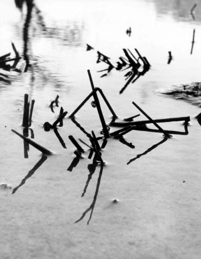 Lucien Clergue, Rice Plantation in Winter, Camargue, 1960 — gelatin silver print, 12 x 9.5 in