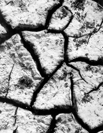 Lucien Clergue, Craquelure, Camargue, 1962 — gelatin silver print, 12 x 9.5 in