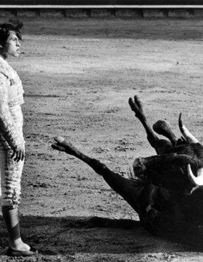 Lucien Clergue, Dead Bull, Palomo Linares, Castellon, Bull Fighter, 1967 — gelatin silver print, 11.5 x 15.25 in