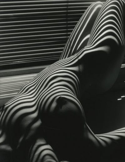 Lucien Clergue, Nu Zebre, New York, 1997 — gelatin silver print mounted on aluminum, 47.25 x 31.125 in