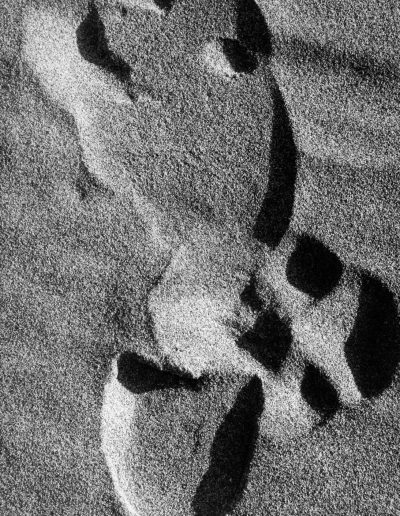 Lucien Clergue, Traces l'homme. Camargue, 1974 — gelatin silver print, 19.5 x 15.25 in